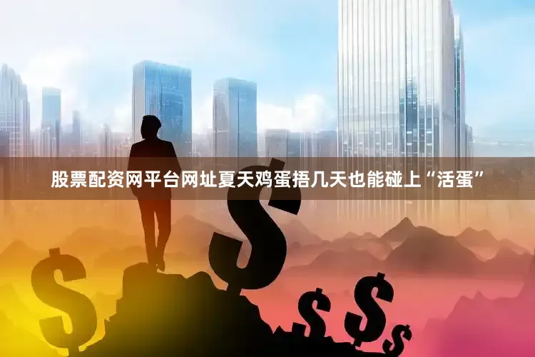 股票配资网平台网址夏天鸡蛋捂几天也能碰上“活蛋”