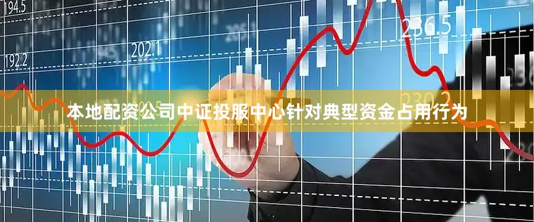 本地配资公司中证投服中心针对典型资金占用行为