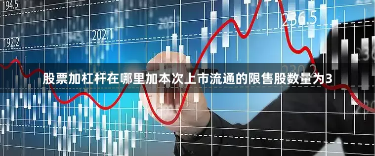 股票加杠杆在哪里加本次上市流通的限售股数量为3