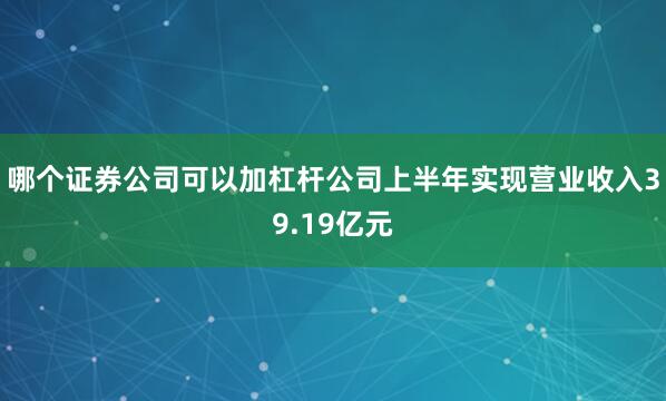 哪个证券公司可以加杠杆公司上半年实现营业收入39.19亿元
