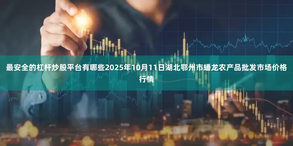 最安全的杠杆炒股平台有哪些2025年10月11日湖北鄂州市蟠龙农产品批发市场价格行情