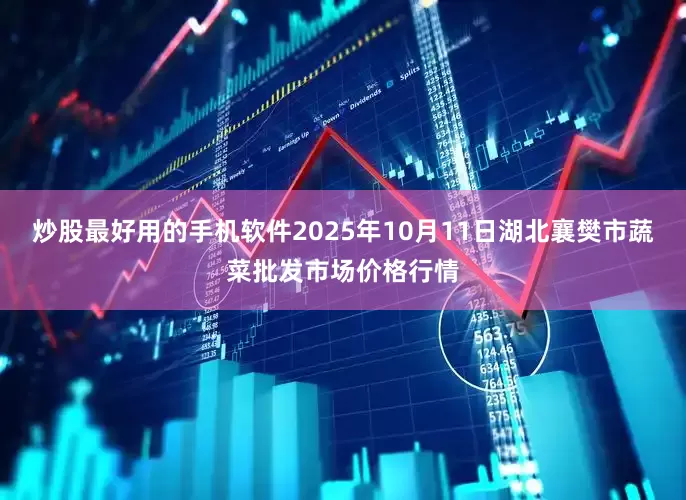 炒股最好用的手机软件2025年10月11日湖北襄樊市蔬菜批发市场价格行情